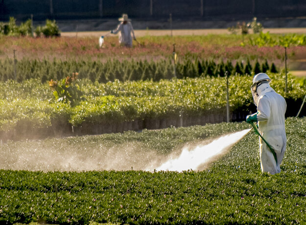 Field of study image
