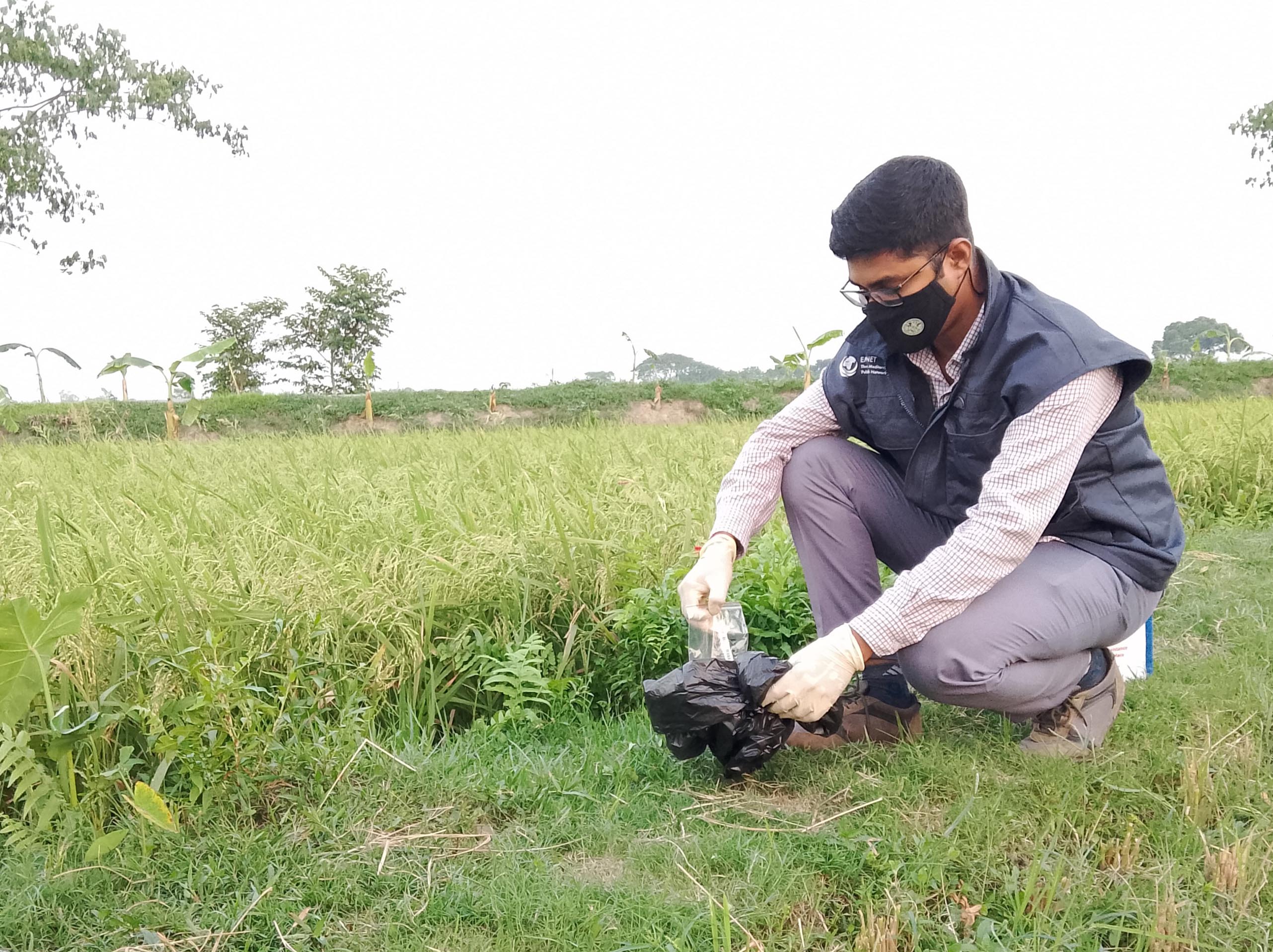 Field of study image